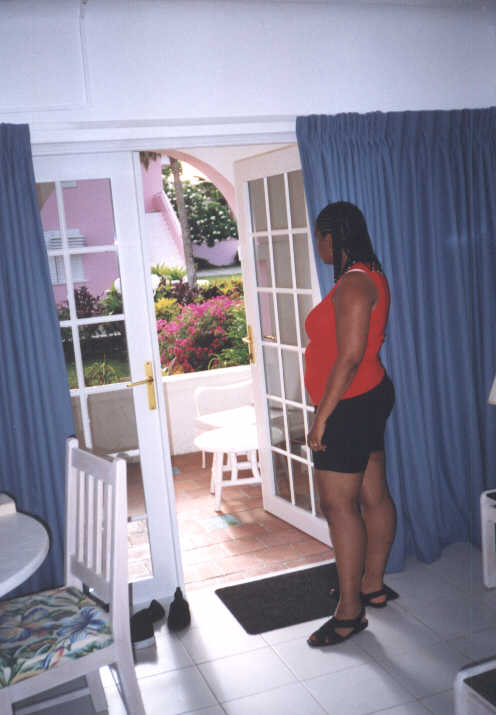 Southern_Palms.jpg (36728 bytes)