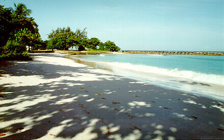 beach7.jpg (31872 bytes)